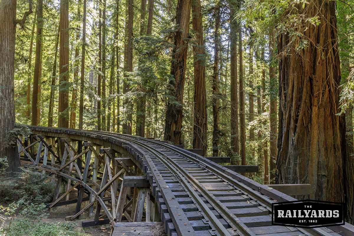Steam Train Railroad and Trestle Bridge over Redwoods - Santa Cruz, CA