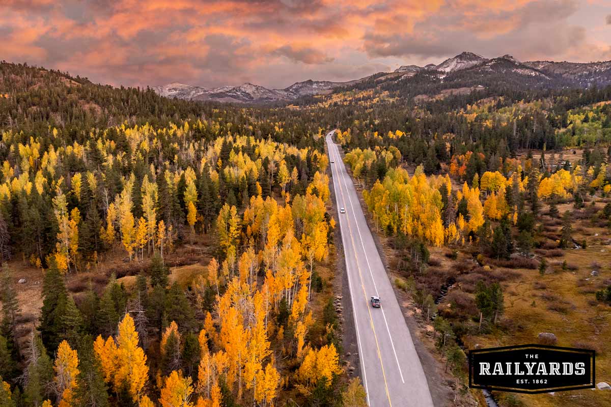 An overhead shot of a car driving past golden aspen trees in the Sierra Nevada mountains.